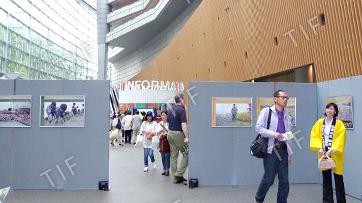 青森県田舎館村　田んぼアート写真パネル展